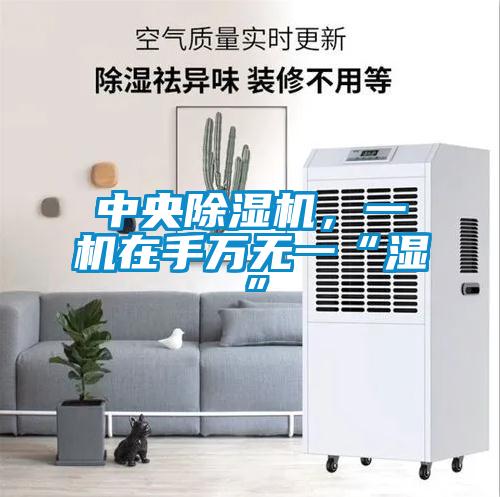 中央除濕機，一機在手萬無一“濕”