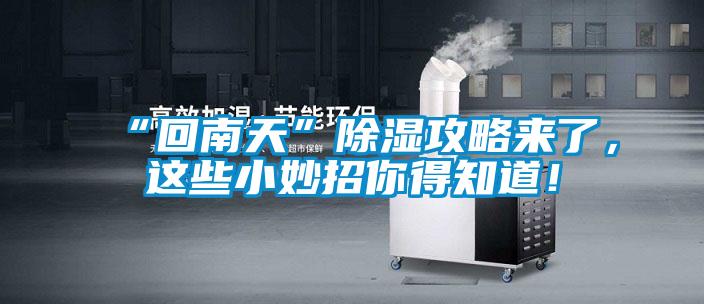 “回南天”除濕攻略來(lái)了,這些小妙招你得知道!