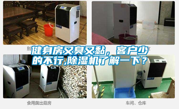 健身房又臭又黏，客戶少的不行,除濕機了解一下？