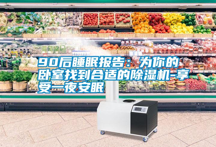 90后睡眠報告:為你的臥室找到合適的除濕機-享受一夜安眠
