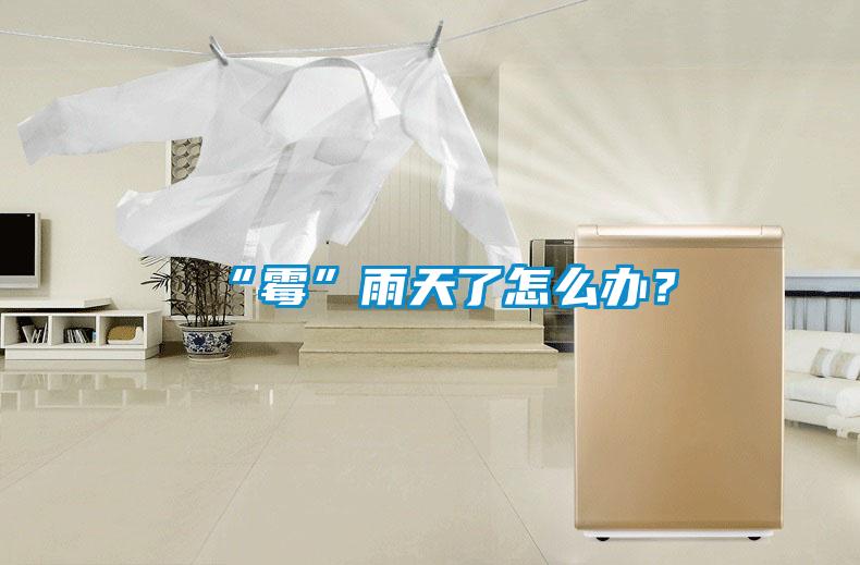 “霉”雨天了怎么辦?