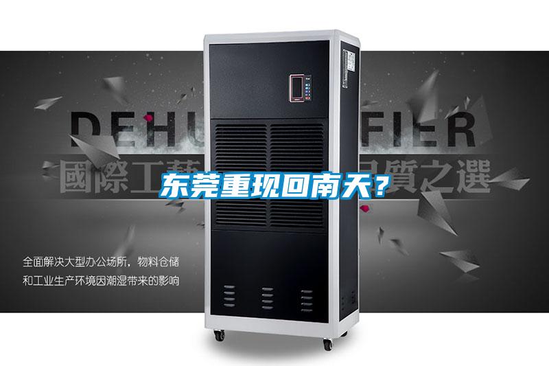 東莞重現回南天？
