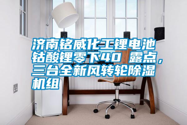 濟南銘威化工鋰電池鈷酸鋰零下40℃露點，三臺全新風轉輪除濕機組