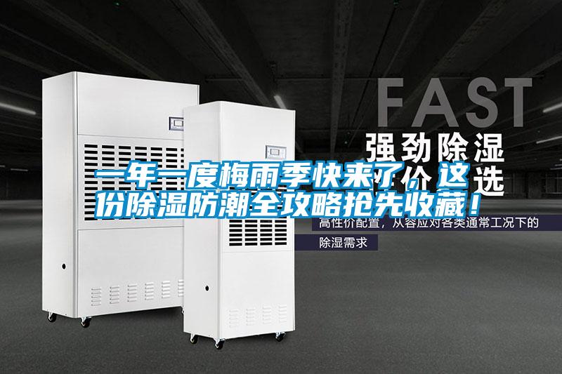 一年一度梅雨季快來了,這份除濕防潮全攻略搶先收藏!