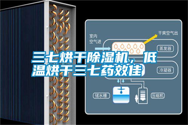 三七烘干除濕機,低溫烘干三七藥效佳