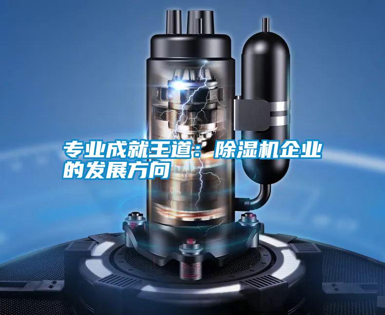 專業(yè)成就王道:除濕機(jī)企業(yè)的發(fā)展方向
