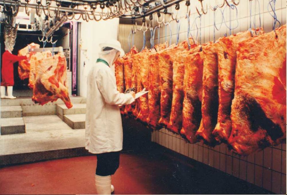 控制家禽處理車(chē)間的濕度解決方案 控制家禽處理車(chē)間的濕度解決方案