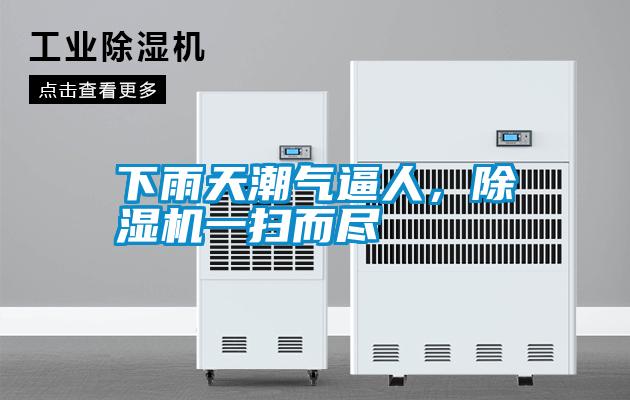 下雨天潮氣逼人,除濕機一掃而盡