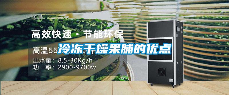 冷凍干燥果脯的優點