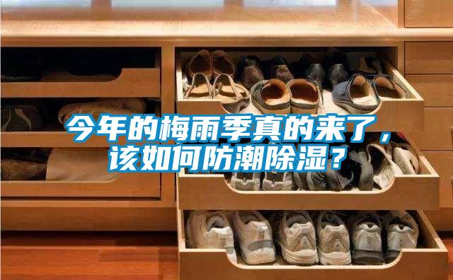 今年的梅雨季真的來了,該如何防潮除濕?