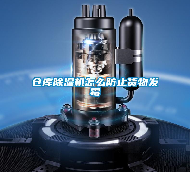 倉庫除濕機怎么防止貨物發霉
