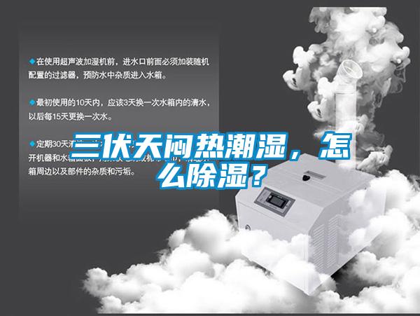 三伏天悶熱潮濕，怎么除濕？