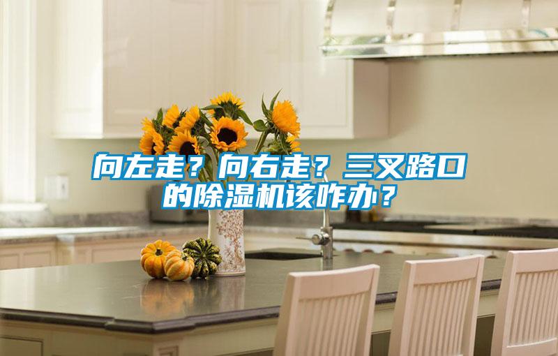 向左走?向右走?三叉路口的除濕機該咋辦?