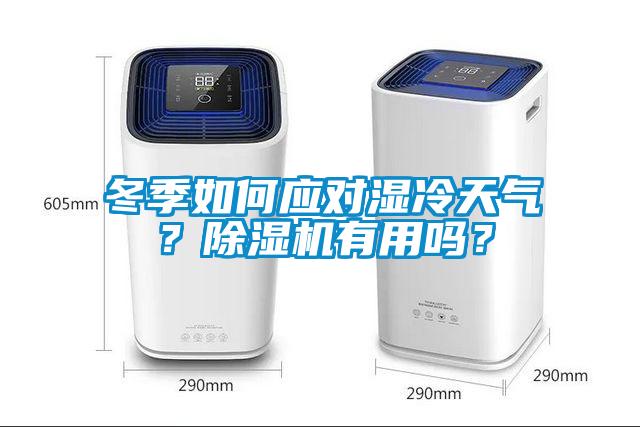 冬季如何應對濕冷天氣？除濕機有用嗎？