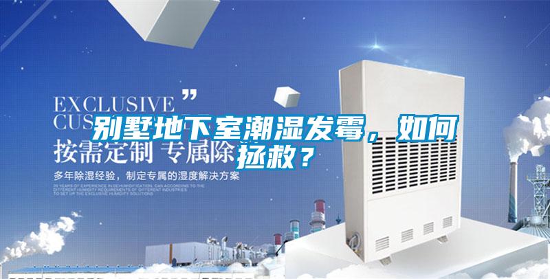 別墅地下室潮濕發霉，如何拯救？