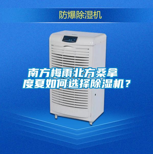 南方梅雨北方桑拿 度夏如何選擇除濕機(jī)？