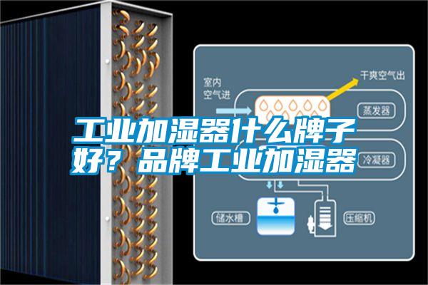 工業加濕器什么牌子好？品牌工業加濕器