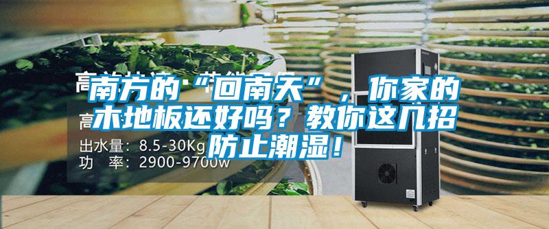南方的“回南天”，你家的木地板還好嗎？教你這幾招防止潮濕！