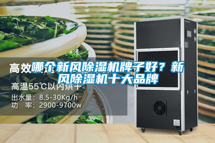 哪個新風除濕機牌子好？新風除濕機十大品牌