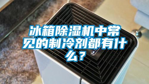 冰箱除濕機中常見的制冷劑都有什么？