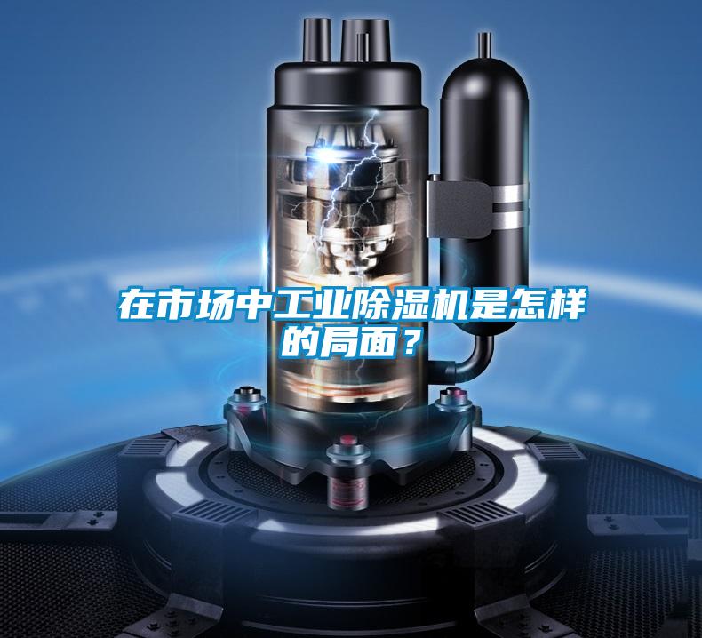 在市場中工業除濕機是怎樣的局面?