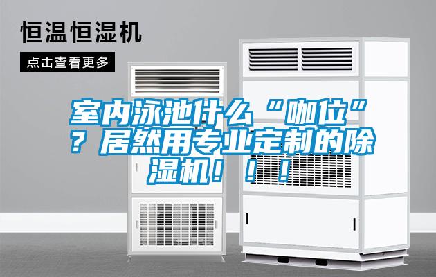 室內(nèi)泳池什么“咖位”?居然用專業(yè)定制的除濕機(jī)!!!