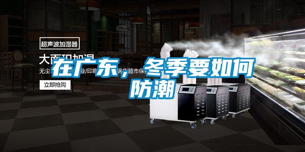 在廣東，冬季要如何防潮