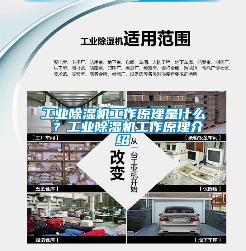 工業除濕機工作原理是什么 ？工業除濕機工作原理介紹