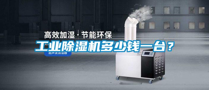 工業(yè)除濕機(jī)多少錢一臺(tái)?