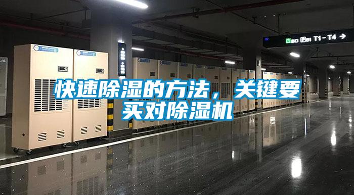 快速除濕的方法,關鍵要買對除濕機