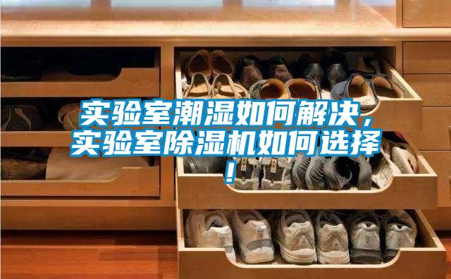 實驗室潮濕如何解決，實驗室除濕機如何選擇！