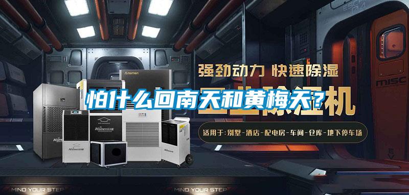 怕什么回南天和黃梅天?
