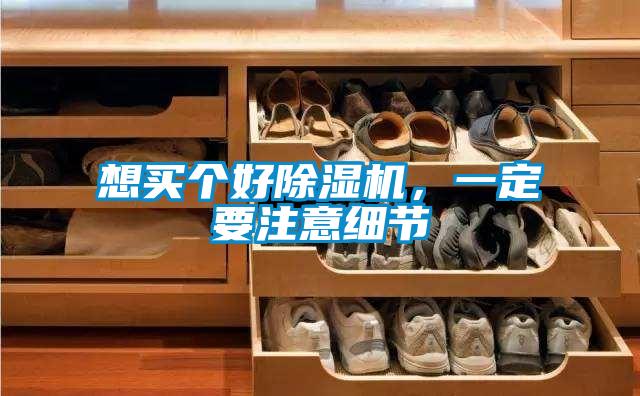想買個好除濕機,一定要注意細節