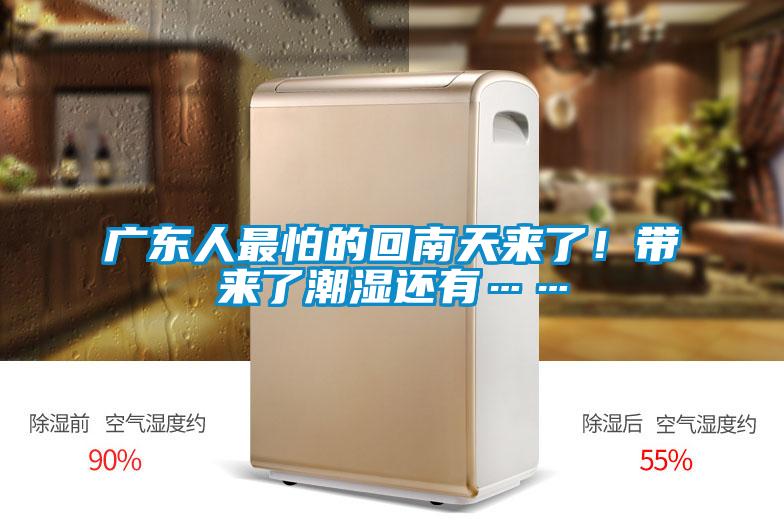 廣東人最怕的回南天來了!帶來了潮濕還有……