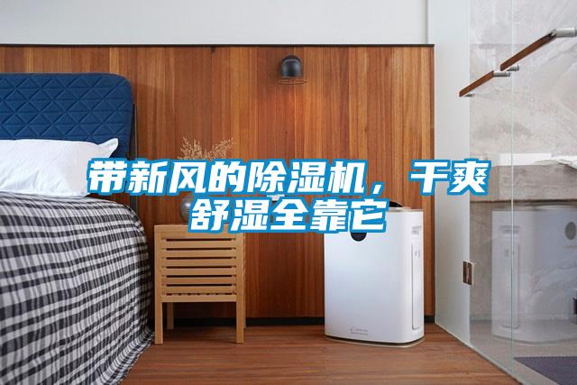 帶新風的除濕機,干爽舒濕全靠它