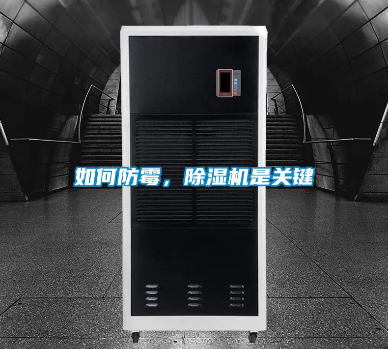 如何防霉,除濕機是關鍵