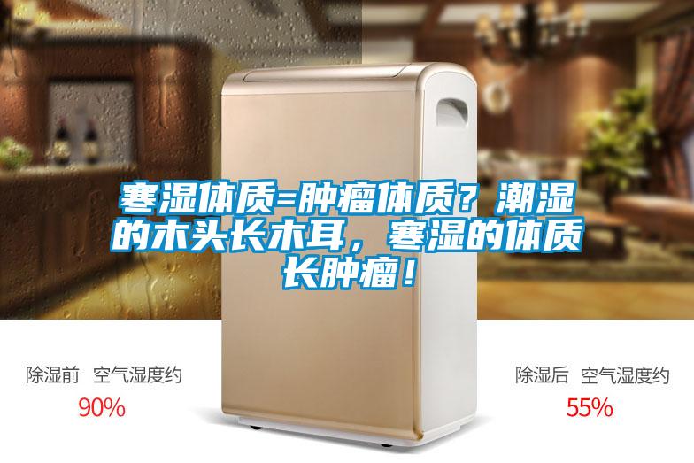 寒濕體質=腫瘤體質?潮濕的木頭長木耳,寒濕的體質長腫瘤!