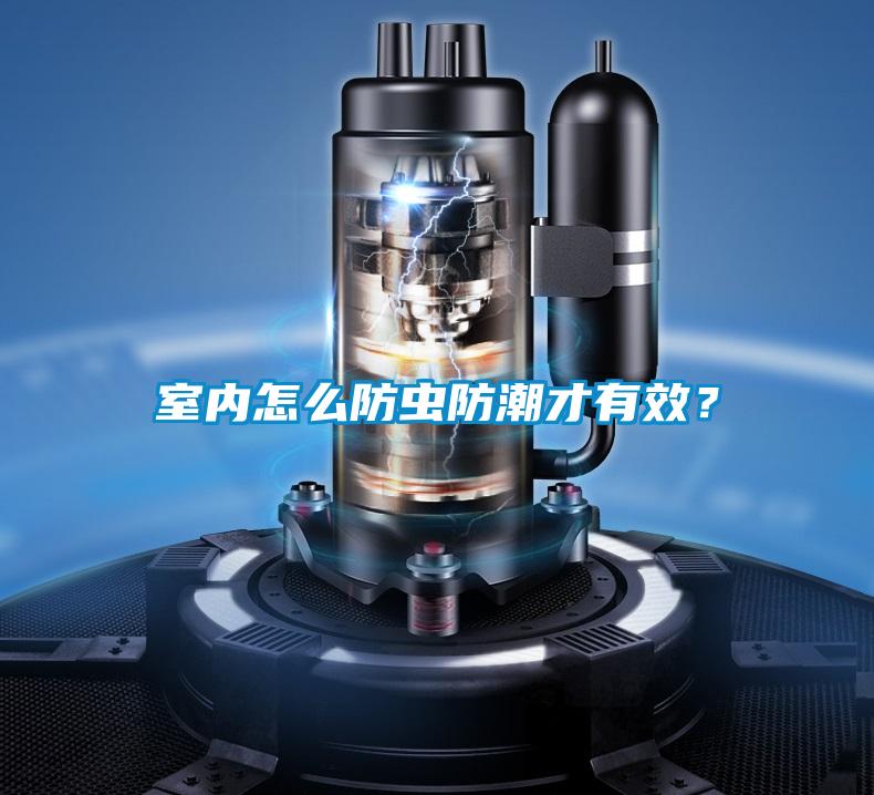 室內怎么防蟲防潮才有效?