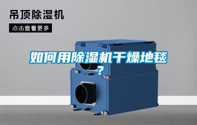 如何用除濕機干燥地毯?