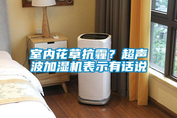 室內花草抗霾?超聲波加濕機表示有話說