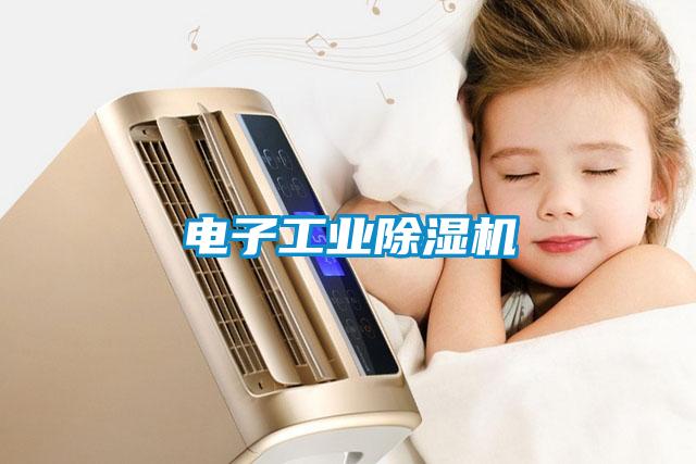 電子工業除濕機
