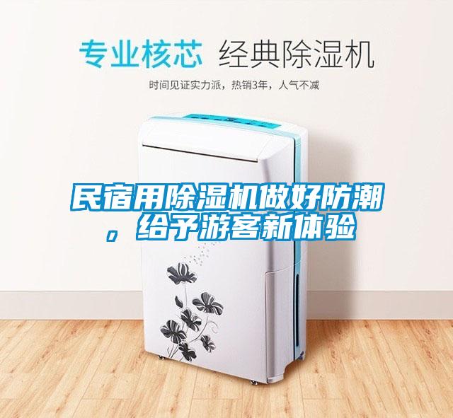 民宿用除濕機做好防潮,給予游客新體驗