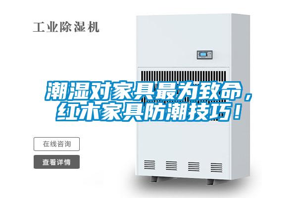 潮濕對家具最為致命,紅木家具防潮技巧!