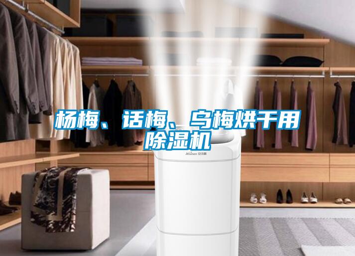 楊梅、話梅、烏梅烘干用除濕機