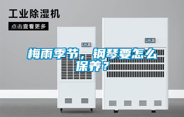 梅雨季節,鋼琴要怎么保養?