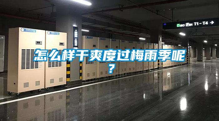 怎么樣干爽度過梅雨季呢?