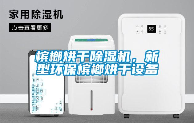 檳榔烘干除濕機,新型環保檳榔烘干設備