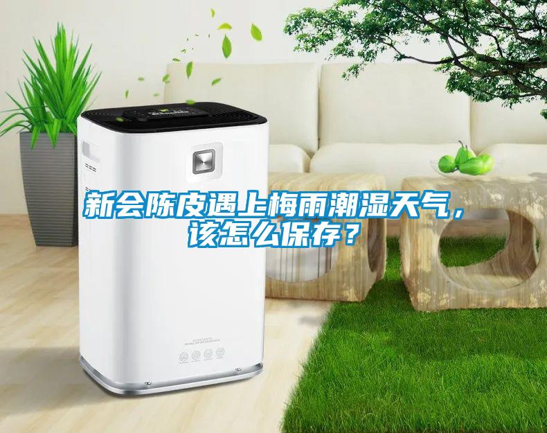 新會陳皮遇上梅雨潮濕天氣,該怎么保存?