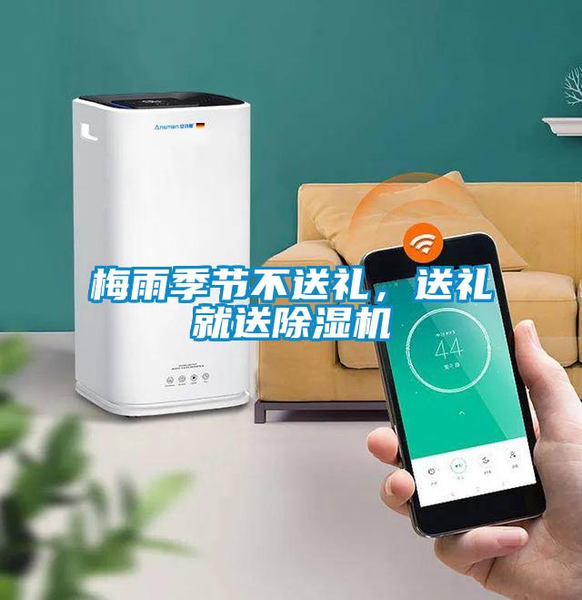 梅雨季節不送禮,送禮就送除濕機