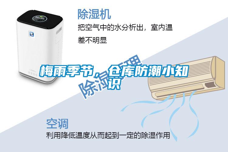 梅雨季節，倉庫防潮小知識